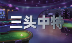 2025年澳门内部码