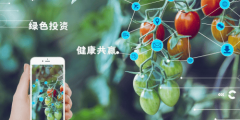 中国云垦无机食物公司：荣耀加身立异不止领航