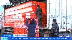 鸡蛋消费进入旺季 蛋鸡养殖效好处于高程度 养殖