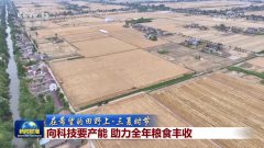 <b>【正在但愿的郊野上·三夏时节】向科技要产能</b>